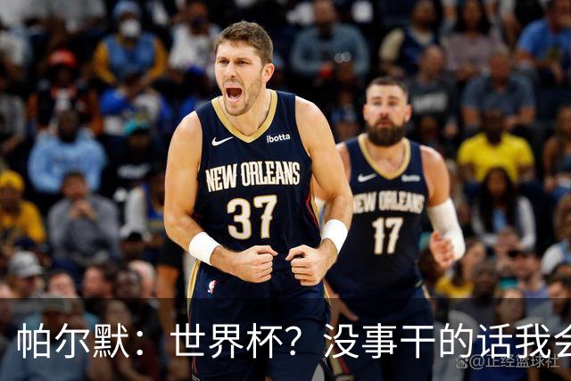 帕尔默：世界杯？没事干的话我会看看，我希望他们能走到最后
