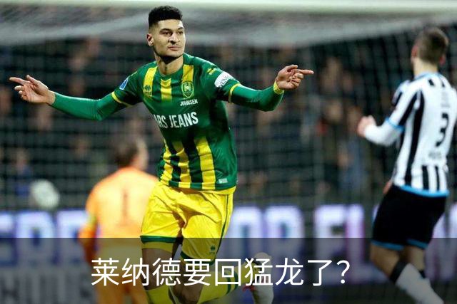 莱纳德要回猛龙了？